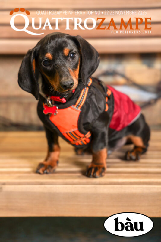 Concorso Fotografico - QuattroZampe in Fiera - Torino - Novembre 2025