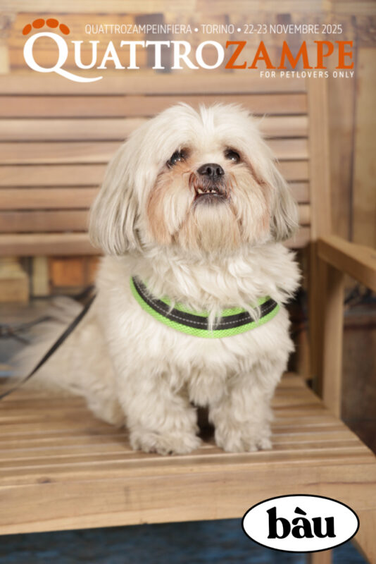 Concorso Fotografico - QuattroZampe in Fiera - Torino - Novembre 2025