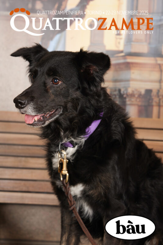 Concorso Fotografico - QuattroZampe in Fiera - Torino - Novembre 2025