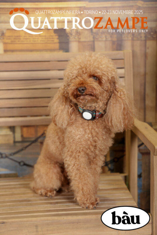 Concorso Fotografico - QuattroZampe in Fiera - Torino - Novembre 2025