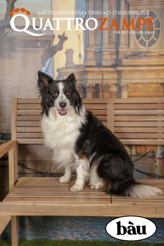 Concorso Fotografico - QuattroZampe in Fiera - Torino - Novembre 2025