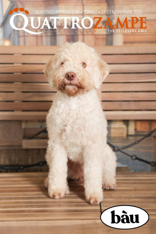 Concorso Fotografico - QuattroZampe in Fiera - Torino - Novembre 2025