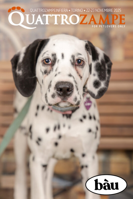 Concorso Fotografico - QuattroZampe in Fiera - Torino - Novembre 2025