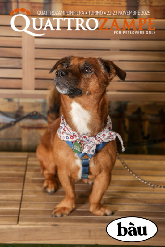 Concorso Fotografico - QuattroZampe in Fiera - Torino - Novembre 2025