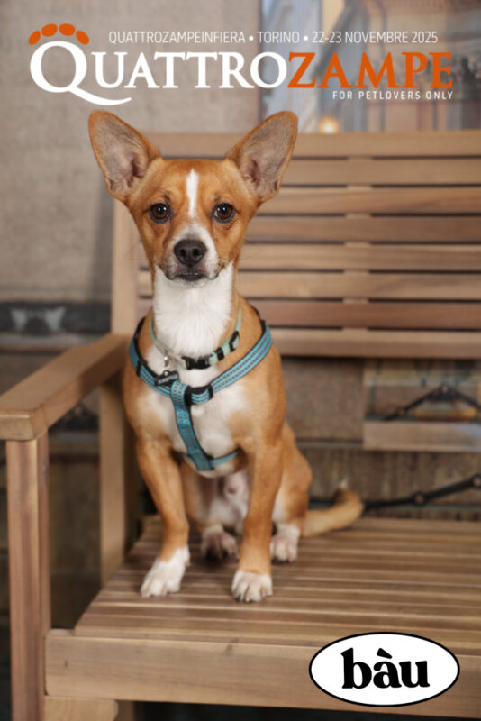 Concorso Fotografico - QuattroZampe in Fiera - Torino - Novembre 2025