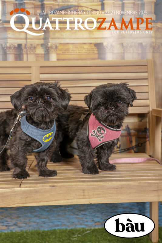 Concorso Fotografico - QuattroZampe in Fiera - Torino - Novembre 2025