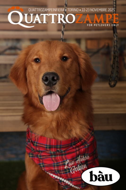 Concorso Fotografico - QuattroZampe in Fiera - Torino - Novembre 2025