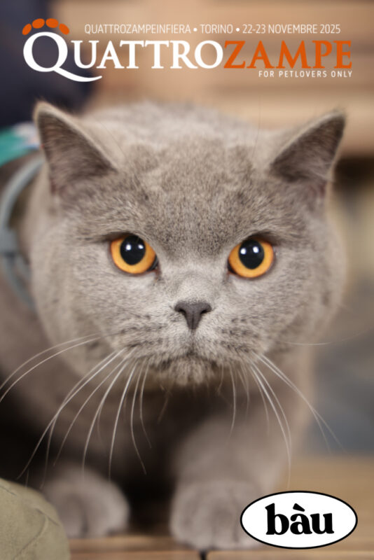 Concorso Fotografico - QuattroZampe in Fiera - Torino - Novembre 2025