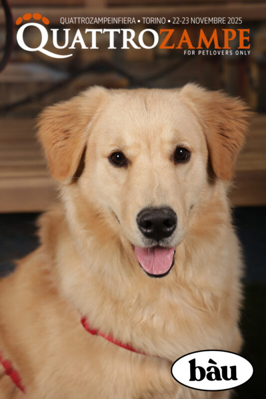 Concorso Fotografico - QuattroZampe in Fiera - Torino - Novembre 2025