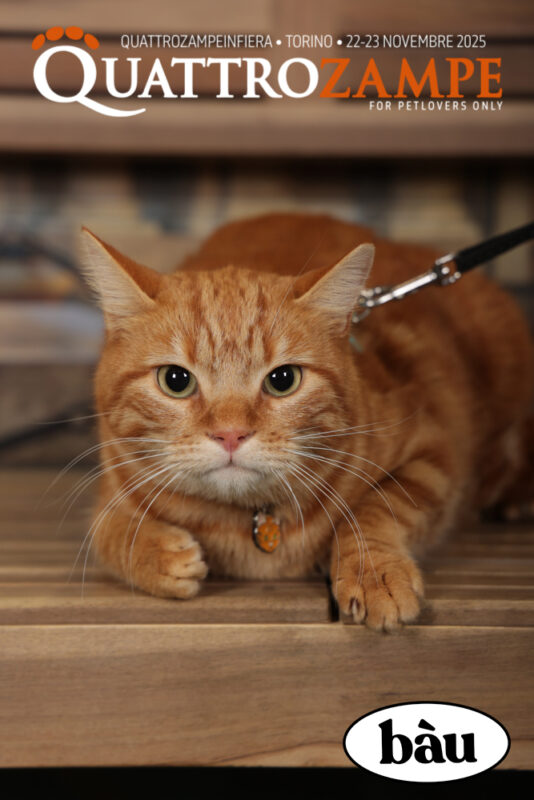 Concorso Fotografico - QuattroZampe in Fiera - Torino - Novembre 2025