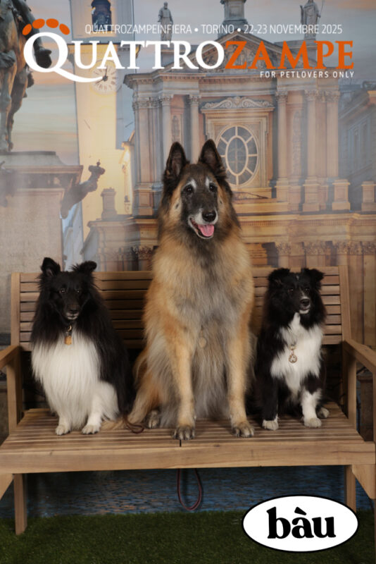 Concorso Fotografico - QuattroZampe in Fiera - Torino - Novembre 2025