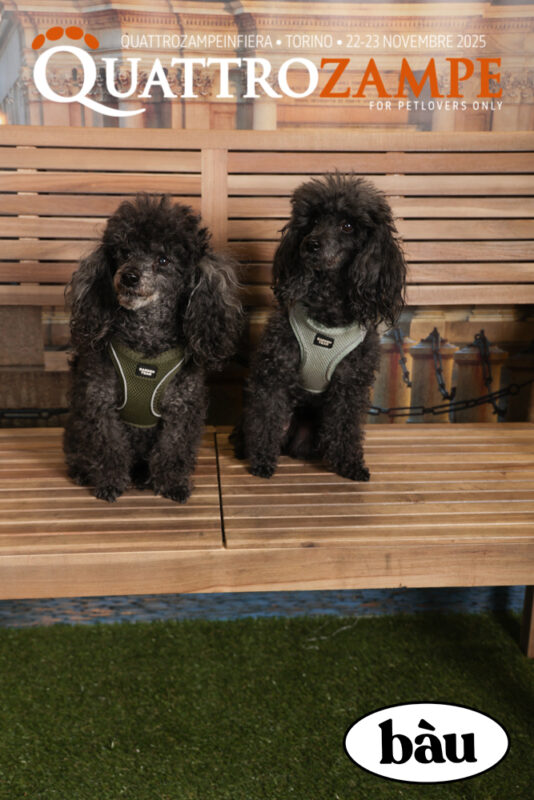 Concorso Fotografico - QuattroZampe in Fiera - Torino - Novembre 2025