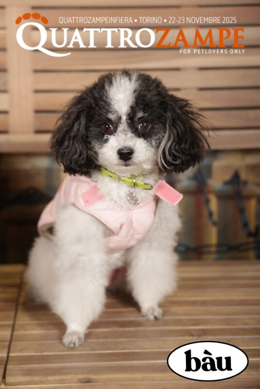 Concorso Fotografico - QuattroZampe in Fiera - Torino - Novembre 2025