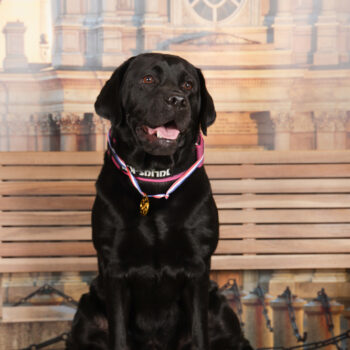 Concorso Fotografico - QuattroZampe in Fiera - Torino - Novembre 2025