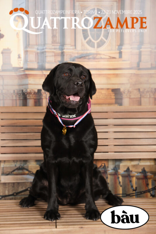 Concorso Fotografico - QuattroZampe in Fiera - Torino - Novembre 2025