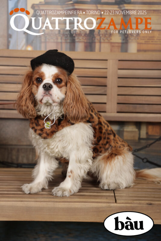 Concorso Fotografico - QuattroZampe in Fiera - Torino - Novembre 2025