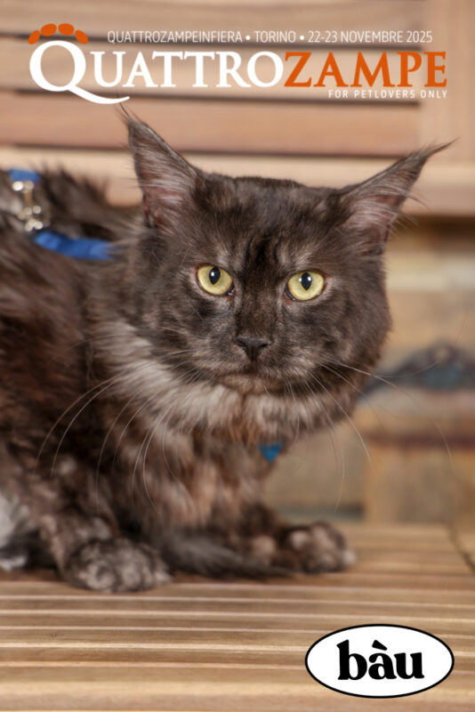 Concorso Fotografico - QuattroZampe in Fiera - Torino - Novembre 2025