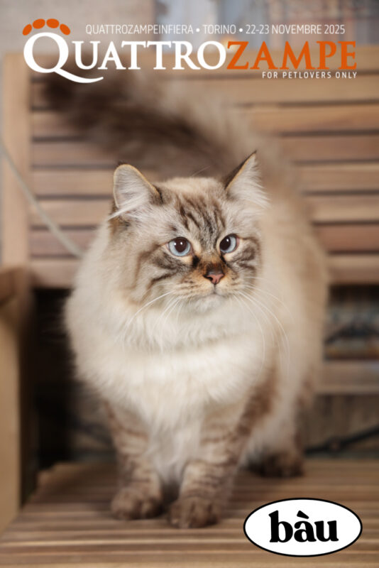 Concorso Fotografico - QuattroZampe in Fiera - Torino - Novembre 2025