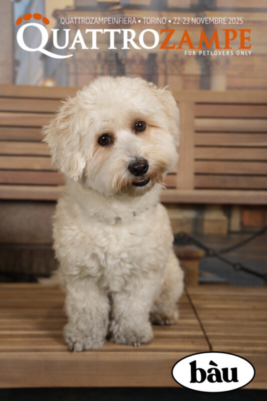 Concorso Fotografico - QuattroZampe in Fiera - Torino - Novembre 2025
