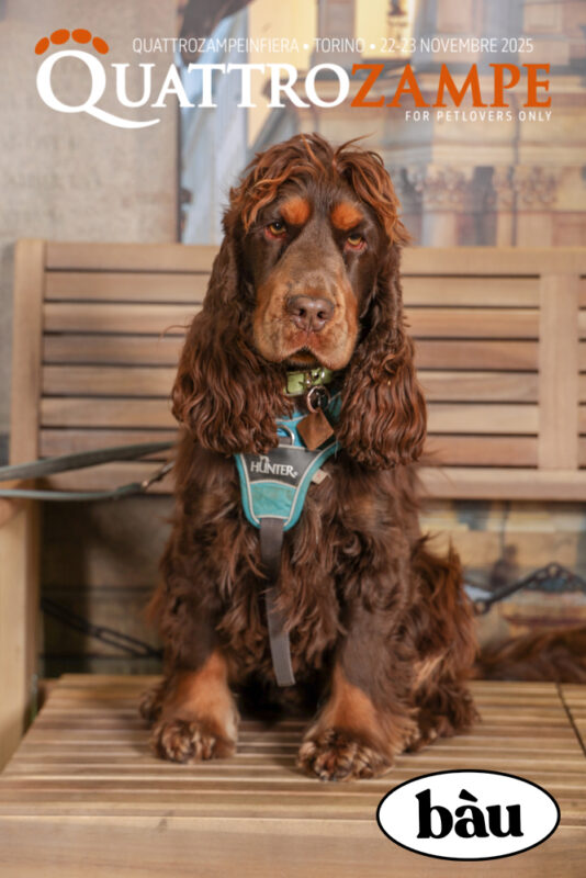 Concorso Fotografico - QuattroZampe in Fiera - Torino - Novembre 2025