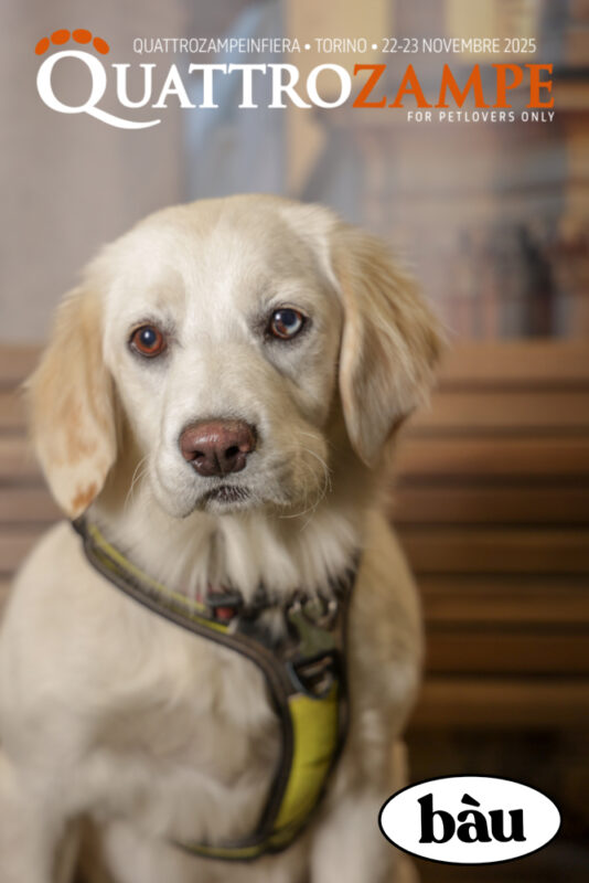 Concorso Fotografico - QuattroZampe in Fiera - Torino - Novembre 2025