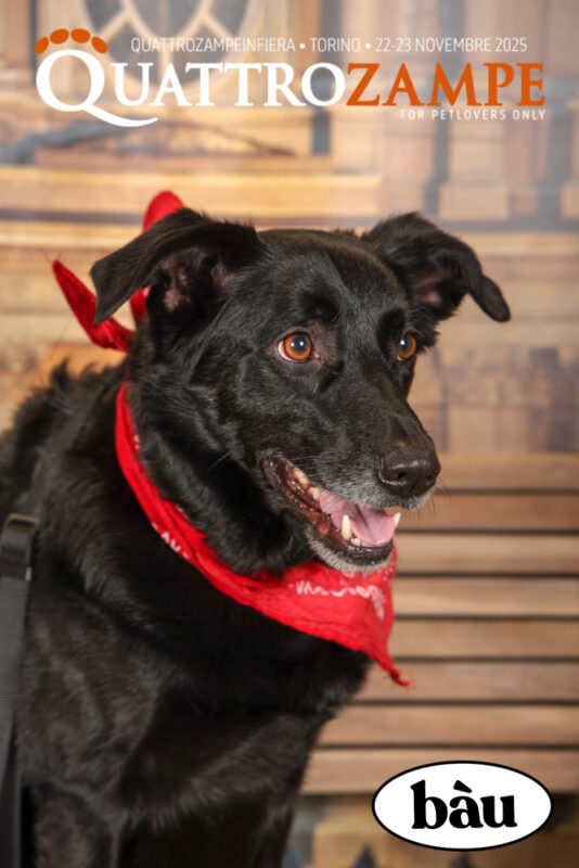Concorso Fotografico - QuattroZampe in Fiera - Torino - Novembre 2025