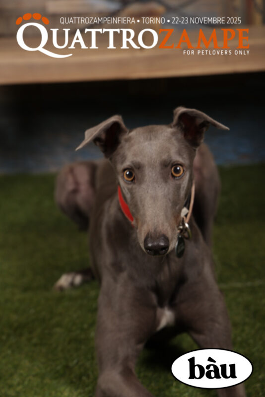 Concorso Fotografico - QuattroZampe in Fiera - Torino - Novembre 2025