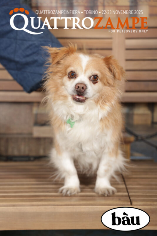 Concorso Fotografico - QuattroZampe in Fiera - Torino - Novembre 2025