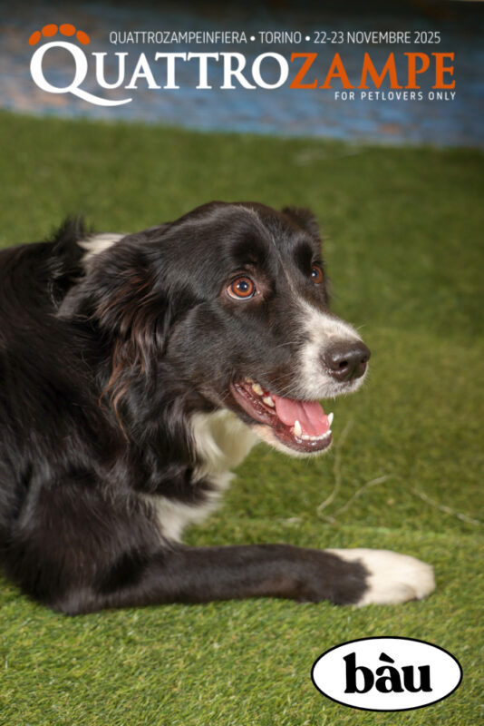 Concorso Fotografico - QuattroZampe in Fiera - Torino - Novembre 2025