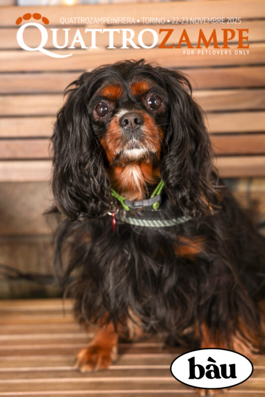 Concorso Fotografico - QuattroZampe in Fiera - Torino - Novembre 2025