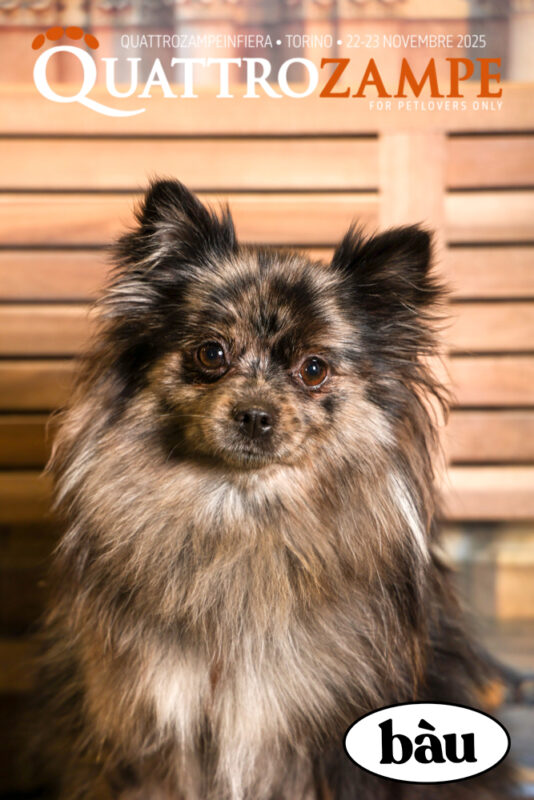 Concorso Fotografico - QuattroZampe in Fiera - Torino - Novembre 2025