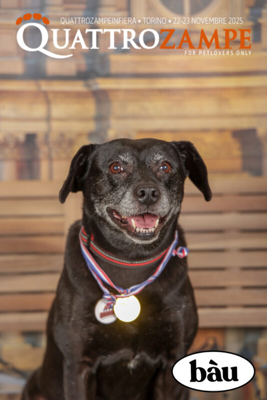 Concorso Fotografico - QuattroZampe in Fiera - Torino - Novembre 2025