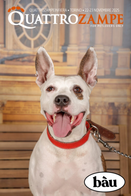 Concorso Fotografico - QuattroZampe in Fiera - Torino - Novembre 2025