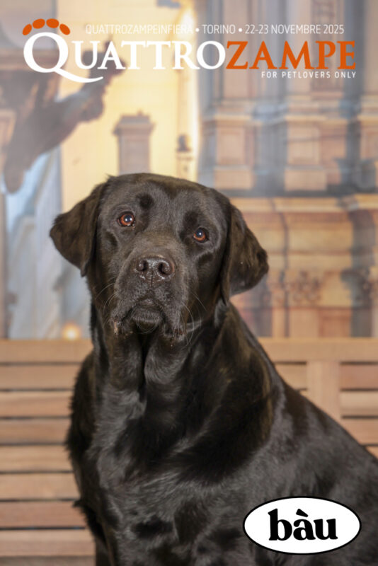 Concorso Fotografico - QuattroZampe in Fiera - Torino - Novembre 2025