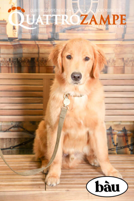 Concorso Fotografico - QuattroZampe in Fiera - Torino - Novembre 2025