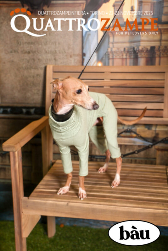 Concorso Fotografico - QuattroZampe in Fiera - Torino - Novembre 2025