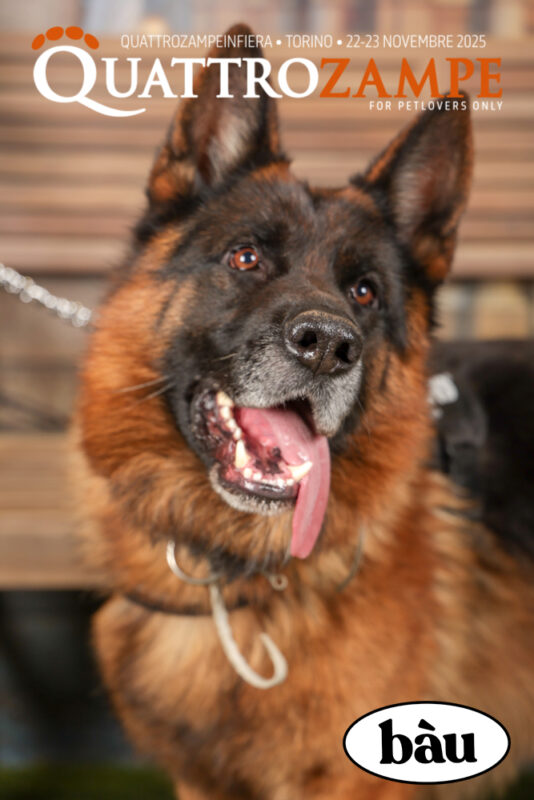 Concorso Fotografico - QuattroZampe in Fiera - Torino - Novembre 2025