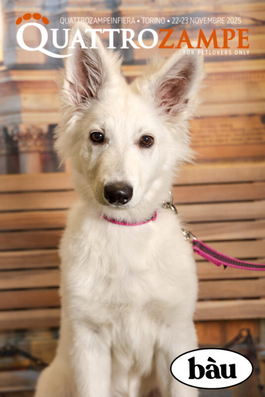Concorso Fotografico - QuattroZampe in Fiera - Torino - Novembre 2025