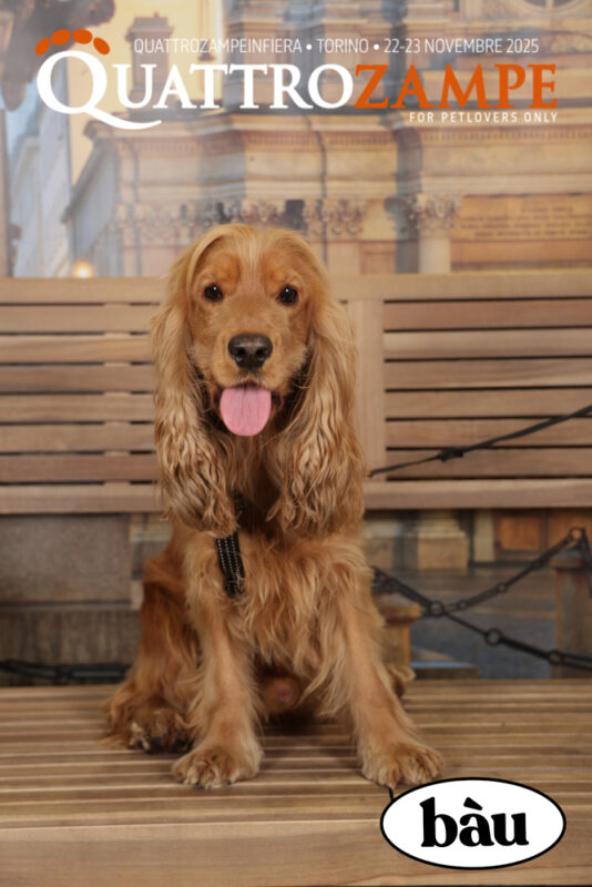 Concorso Fotografico - QuattroZampe in Fiera - Torino - Novembre 2025