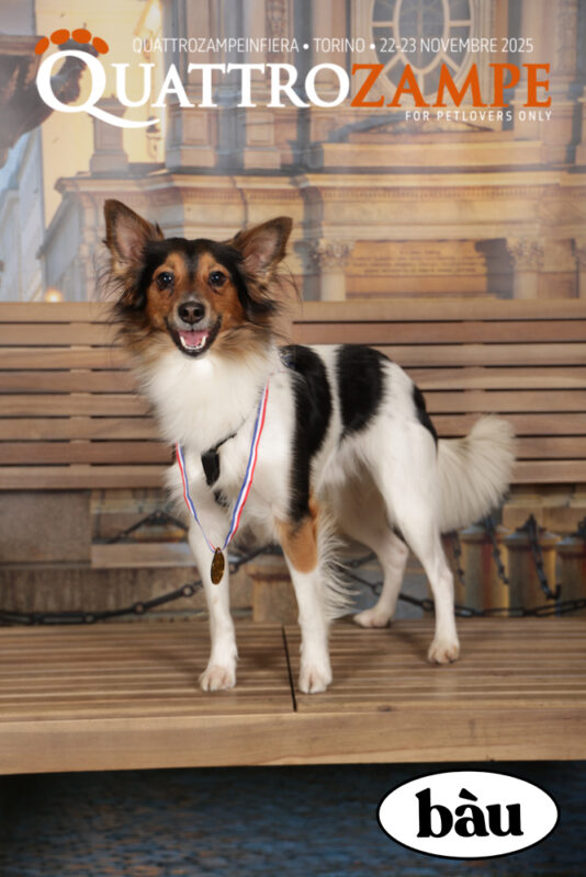Concorso Fotografico - QuattroZampe in Fiera - Torino - Novembre 2025