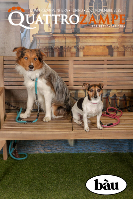 Concorso Fotografico - QuattroZampe in Fiera - Torino - Novembre 2025