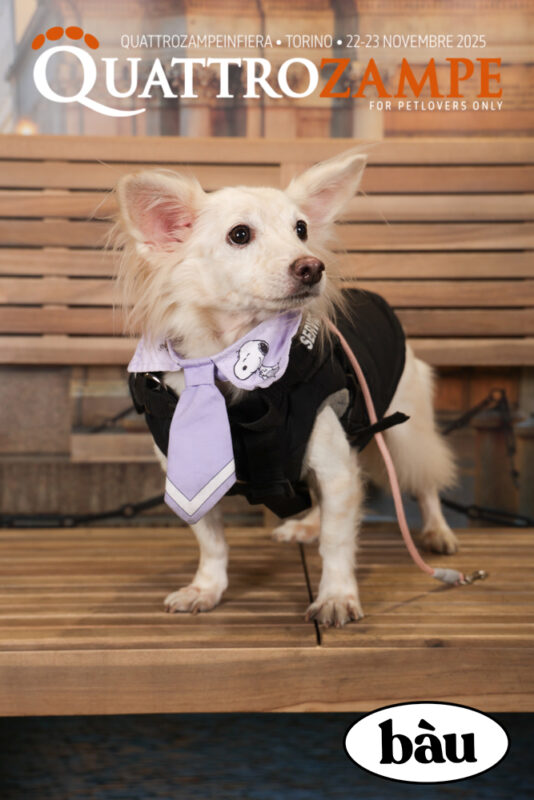 Concorso Fotografico - QuattroZampe in Fiera - Torino - Novembre 2025
