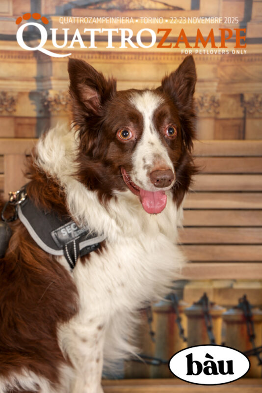Concorso Fotografico - QuattroZampe in Fiera - Torino - Novembre 2025