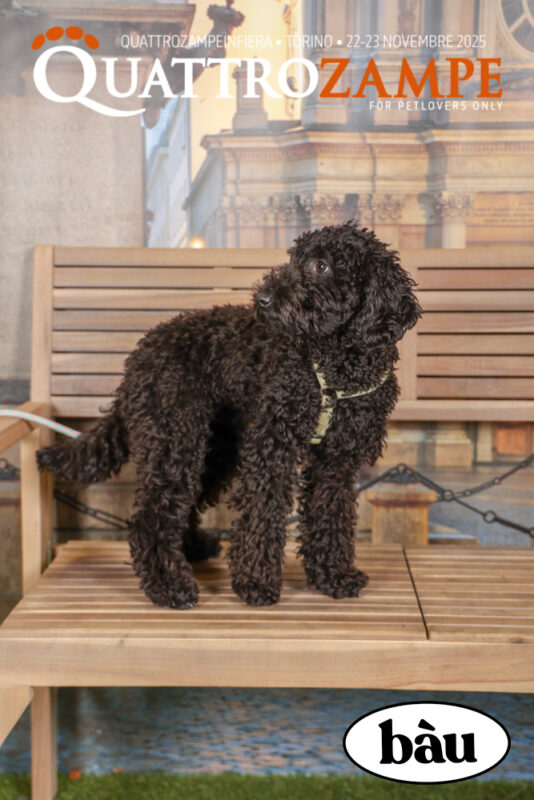 Concorso Fotografico - QuattroZampe in Fiera - Torino - Novembre 2025