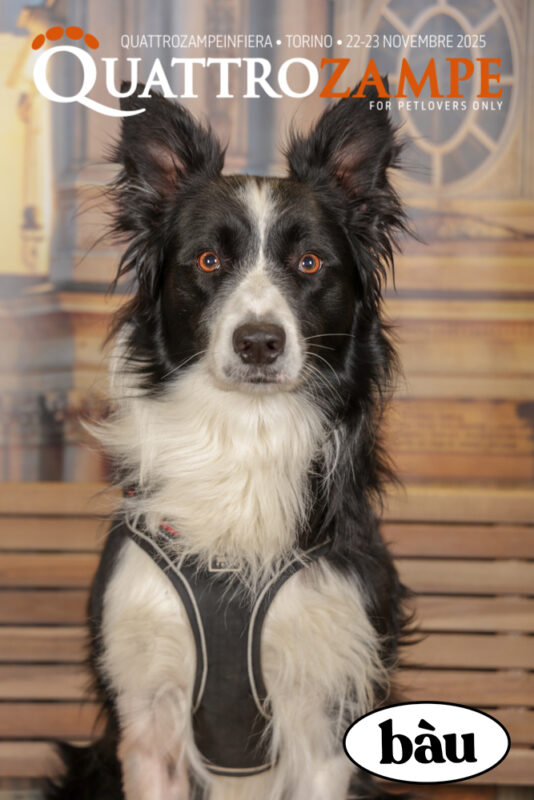 Concorso Fotografico - QuattroZampe in Fiera - Torino - Novembre 2025