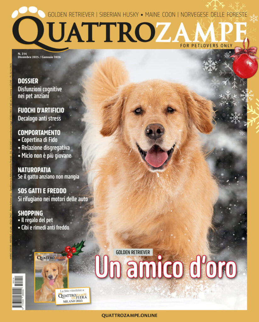 È in edicola il numero di dicembre 2025 / gennaio 2026 di Quattrozampe