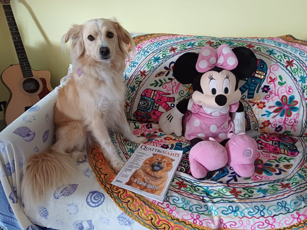 Carica e Vota - Febbraio 2026