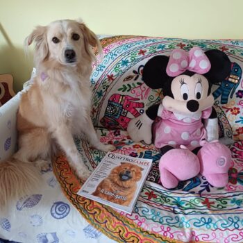 Carica e Vota - Febbraio 2026