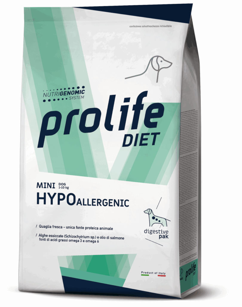 Intolleranze alimentari nel cane: come riconoscerle e affrontarle