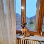 Carica e Vota - Febbraio 2026